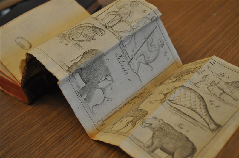 "Przyrodnik z Ciechanowca - ksiądz Krzysztof Kluk" - audycja dokumentalna Andrzeja Danilczuka