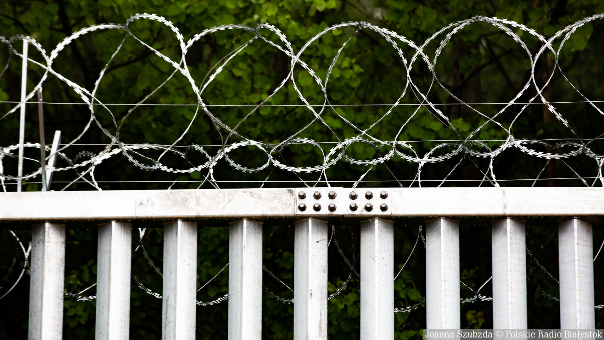 SG: 40 osób próbowało w poniedziałek dostać się nielegalnie z Białorusi do Polski