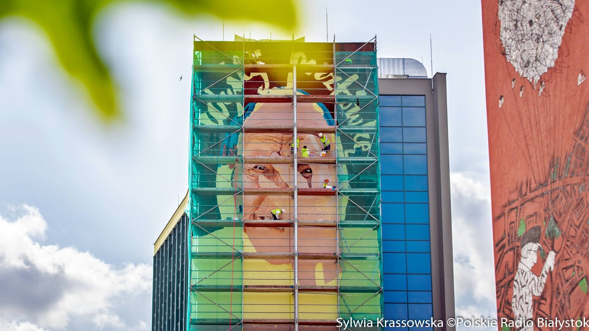Wraca słynny mural z babcią Eugenią w centrum Białegostoku - prace już się rozpoczęły [zdjęcia, wideo]