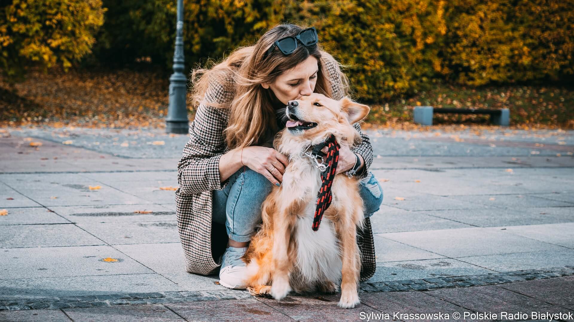 Białostocka restauracja prowadzi zbiórkę na rzecz schroniska w Sokółce