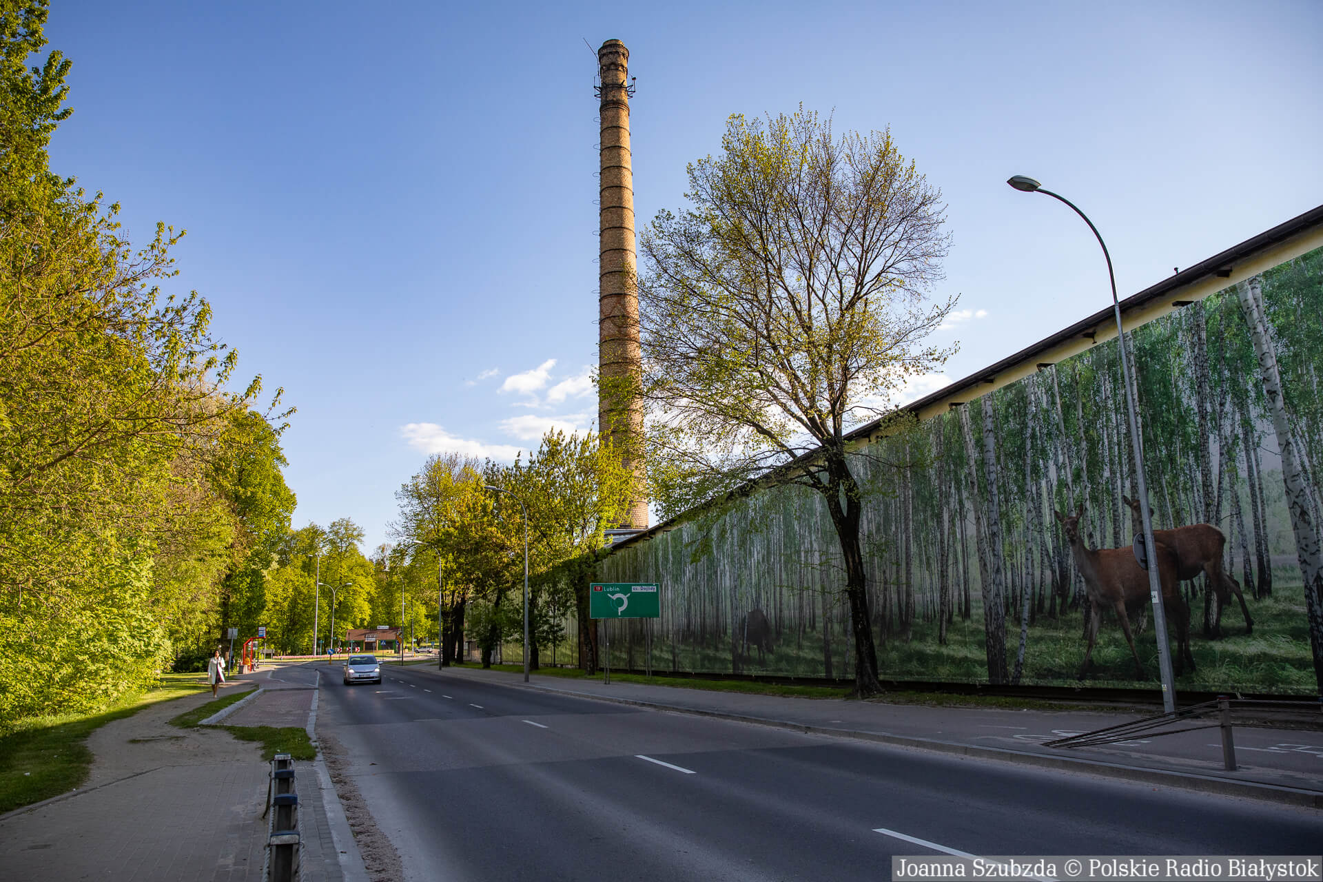 Mieszkańcy nie chcą budowy bloków, pracownicy Sklejek domagają się decyzji - trwa spór o część terenu białostockich Dojlid