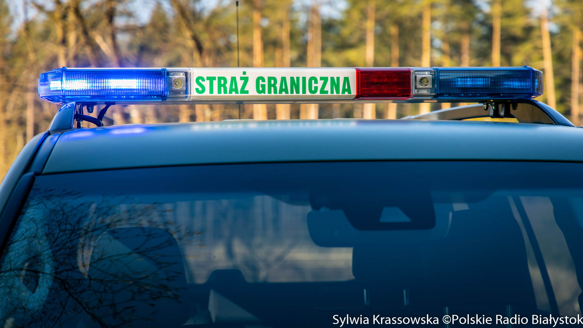 Straż Graniczna utworzyła zespoły poszukiwawczo-ratownicze - mają pomagać migrantom