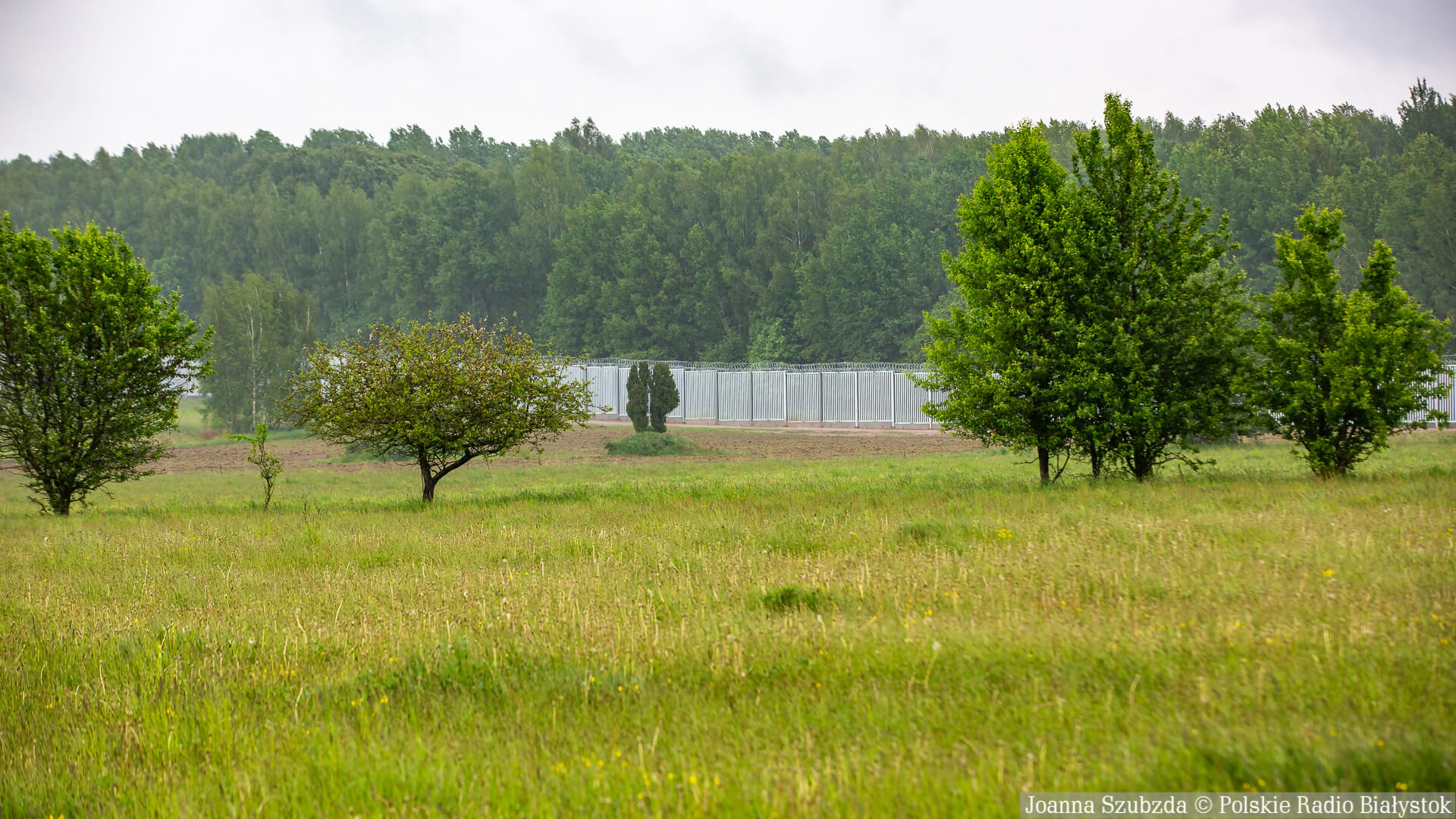 Przedsiębiorcy z okolic Białowieży apelują do rządu o wsparcie w związku z wprowadzeniem strefy buforowej