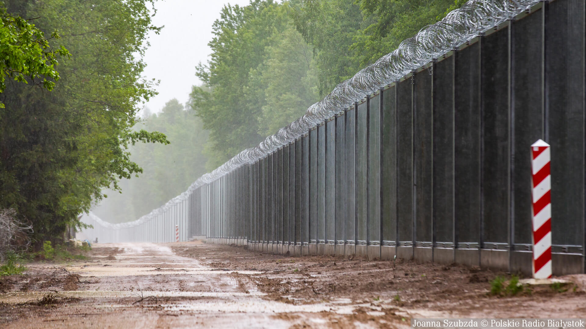 Obywatele Konga, Syrii i Jemenu chcieli nielegalnie dostać się do Polski [wideo]