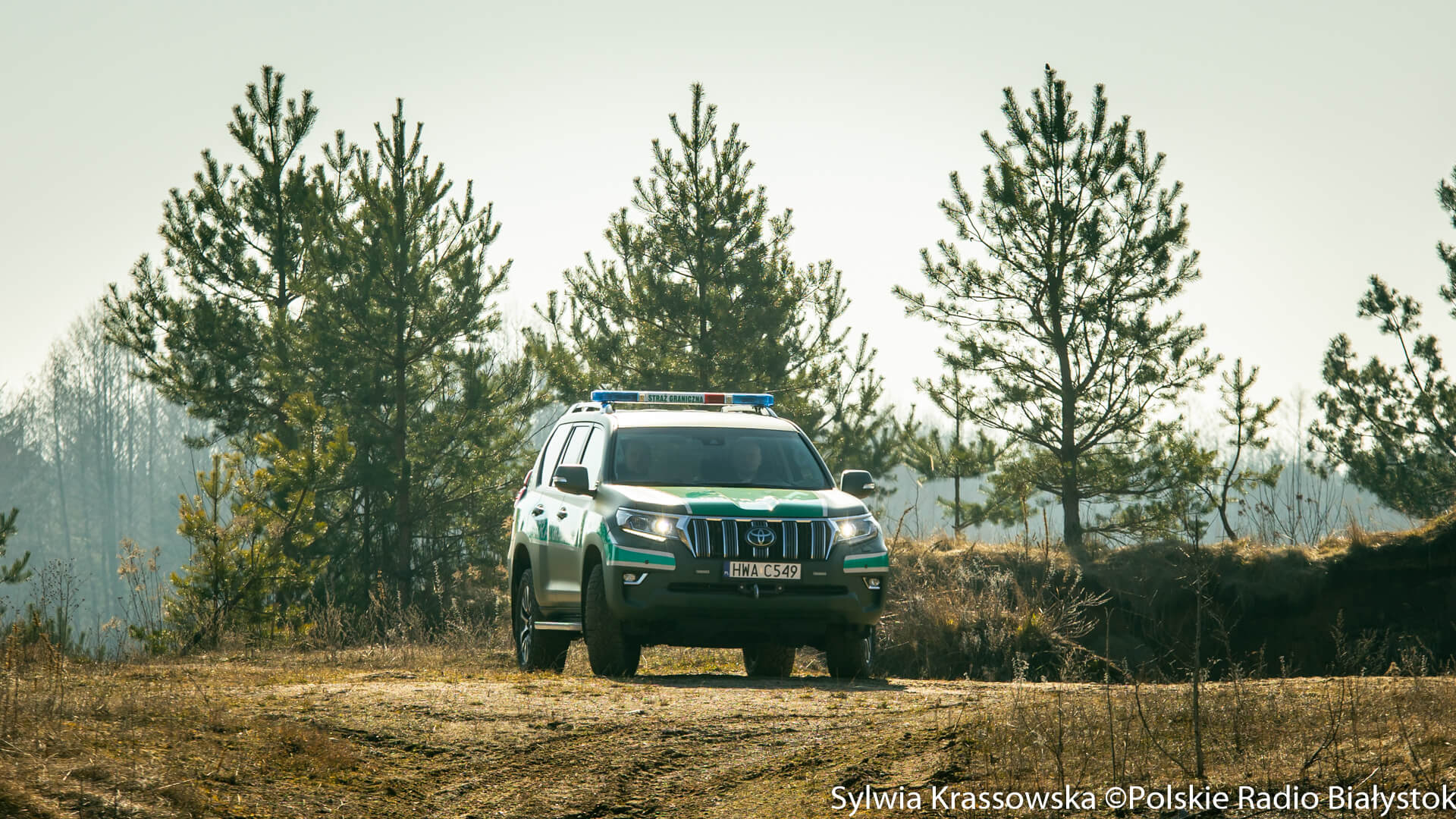 Straż Graniczna zlikwidowała magazyn nielegalnych papierosów niedaleko granicy z Litwą