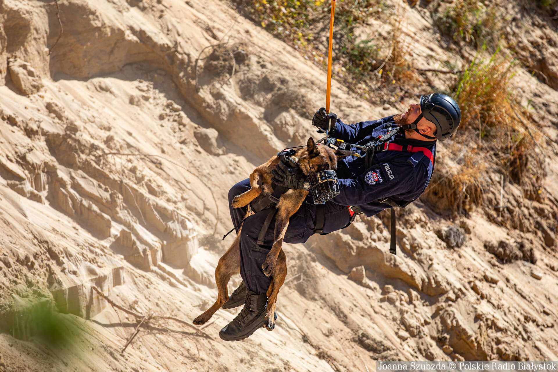Szkolenie psów służbowych w Uhowie [zdjęcia, wideo]