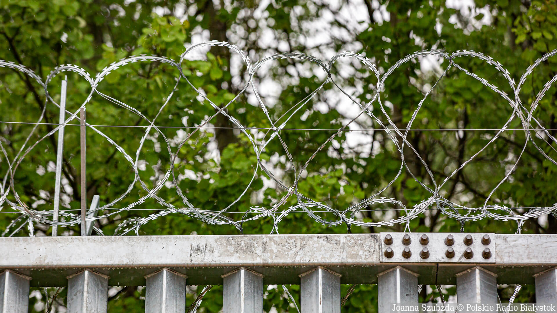 15 cudzoziemców próbowało w czwartek nielegalnie dostać się do Polski z Białorusi