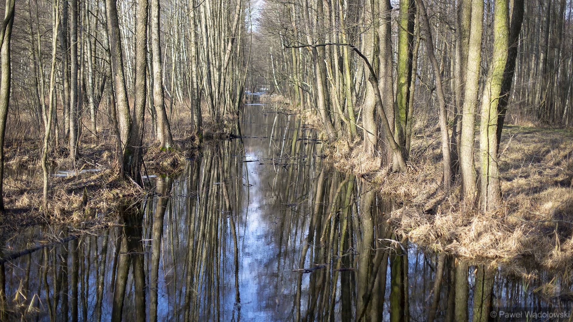 Światowy Dzień Mokradeł w Biebrzańskim Parku Narodowym