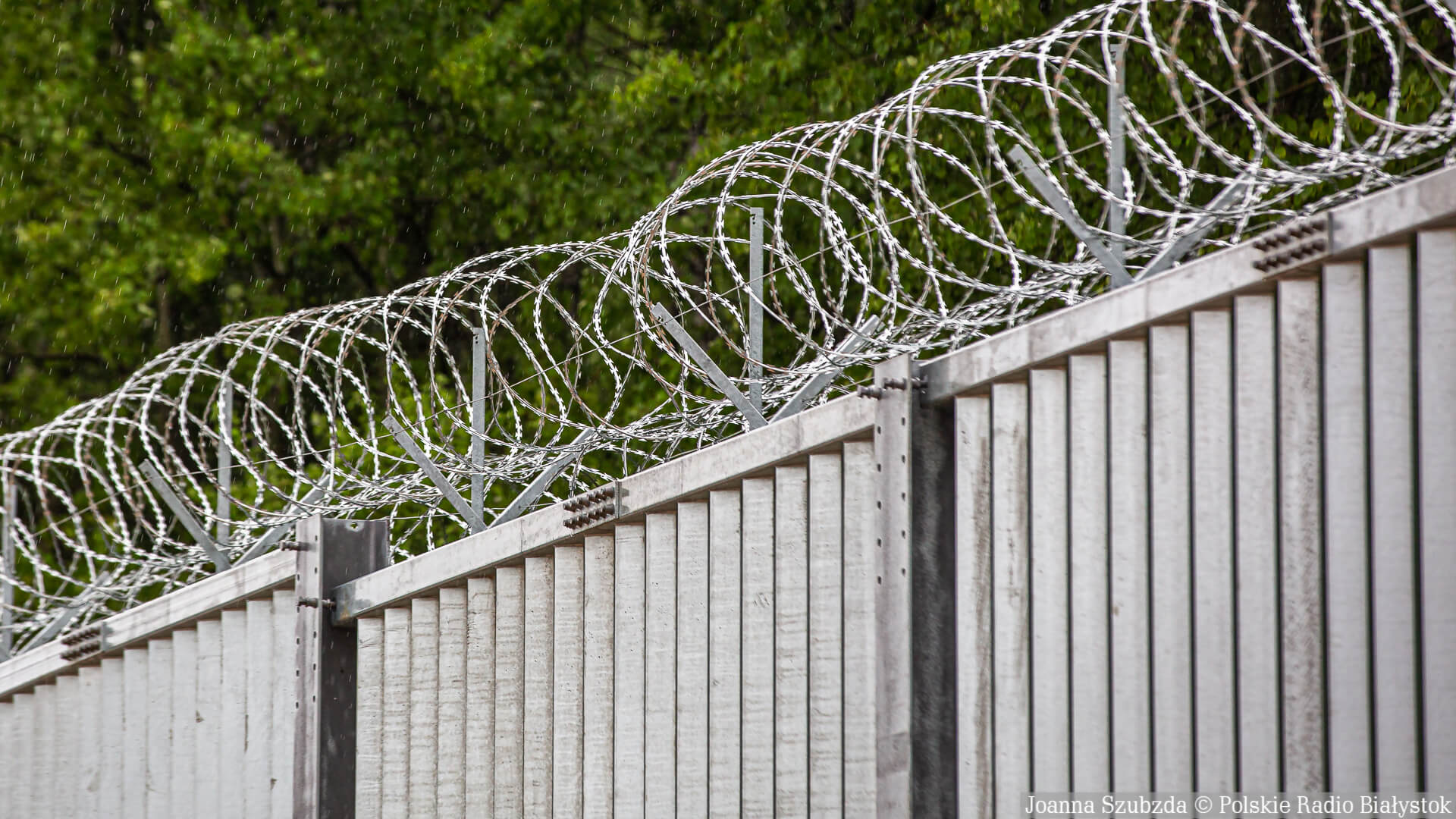 40 osób próbowało w poniedziałek dostać się nielegalnie do Polski z Białorusi