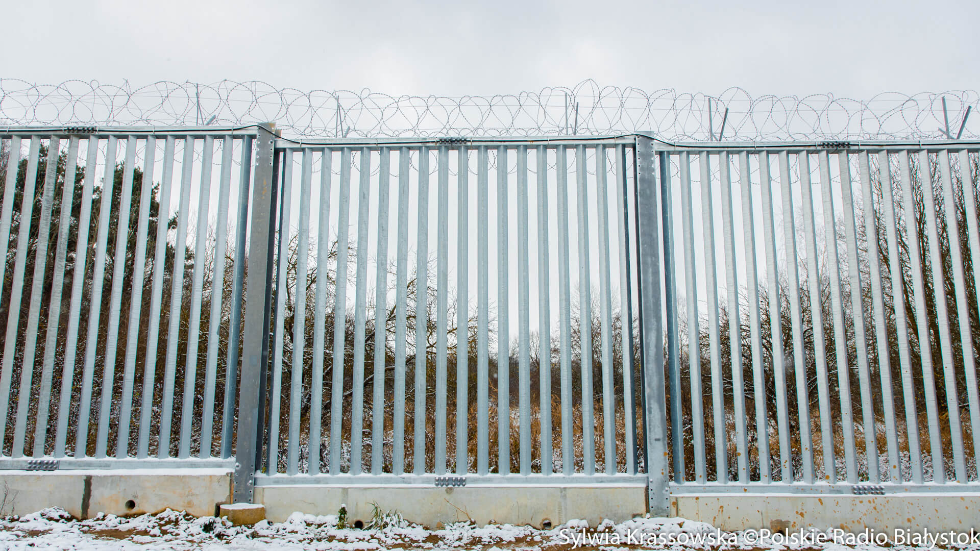 W środę 13 cudzoziemców próbowało przekroczyć polsko-białoruską granicę