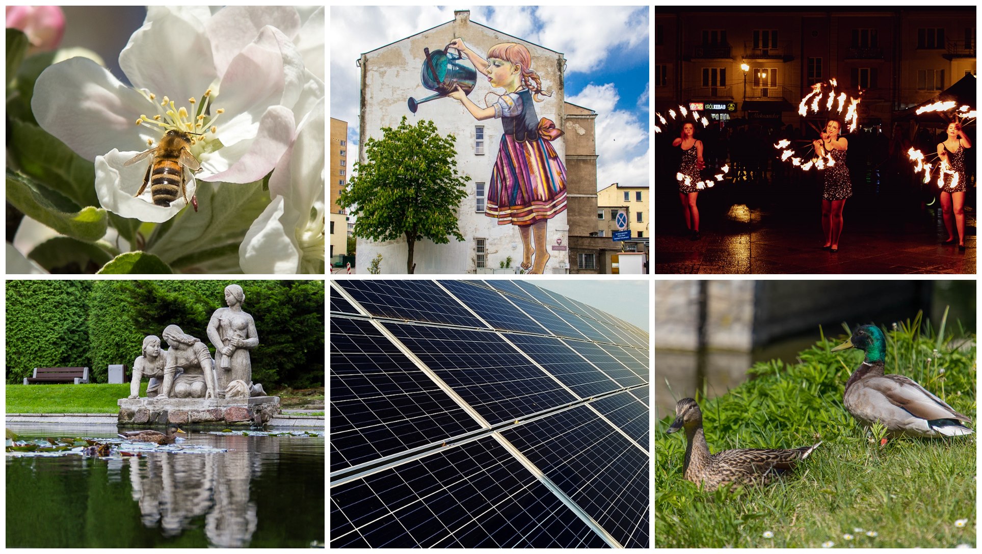 Plany na majówkę - weź udział w naszej ankiecie