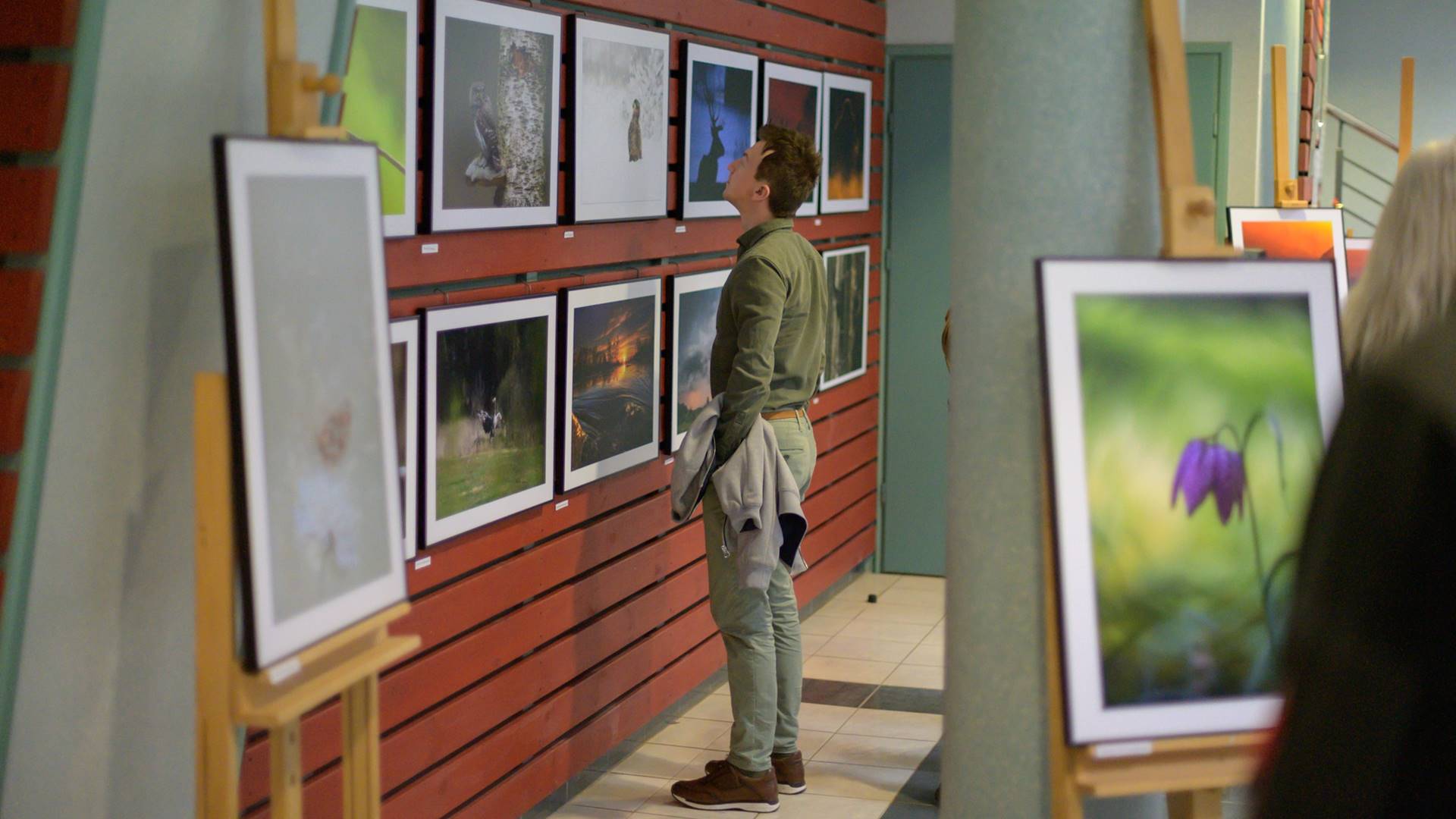 W Muzeum Przyrodniczo-Leśnym w Białowieży można zobaczyć wystawy artystów Związku Polskich Fotografów Przyrody [zdjęcia]