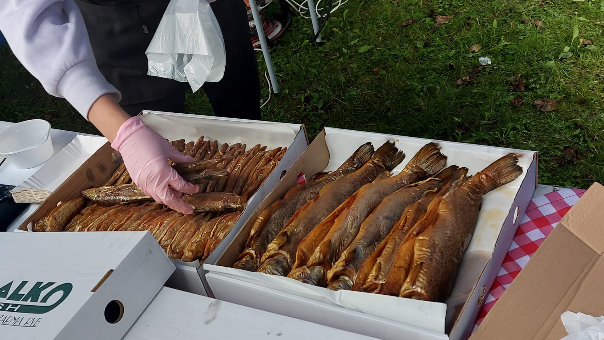 XIV edycja "Święta Siei" już w sobotę (14.09) w ogrodach klasztornych nad jeziorem Wigry