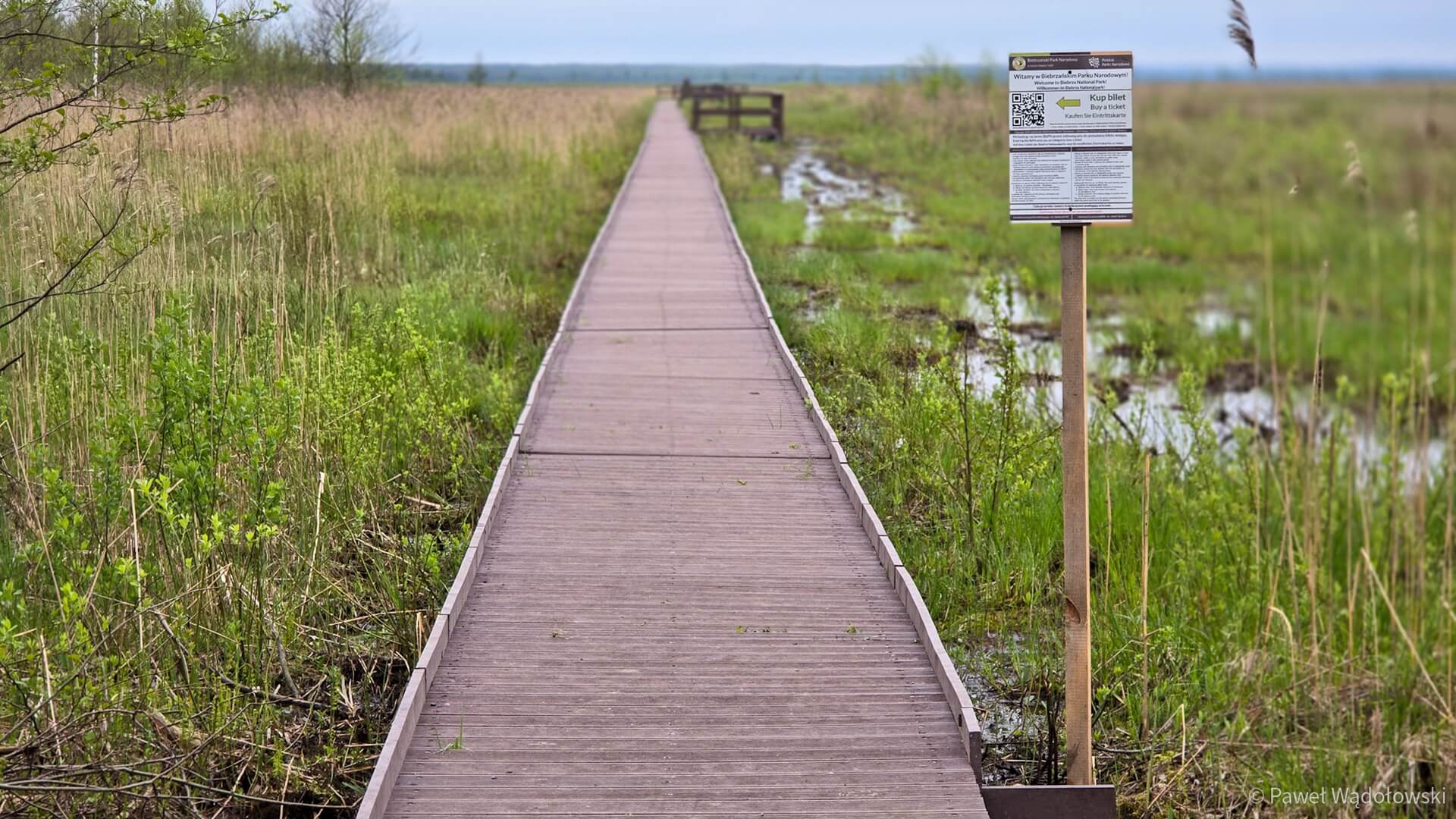 Kładka Długa Luka w Biebrzańskim Parku Narodowym znowu jest dostępna dla turystów