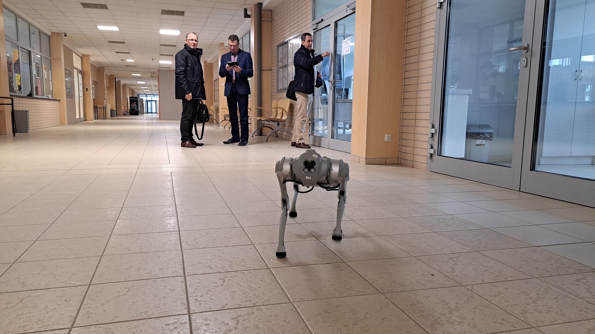 Potrafi się turlać, warować, ale nie umie merdać ogonem - na Politechnice Białostockiej można spotkać futurystycznego psa