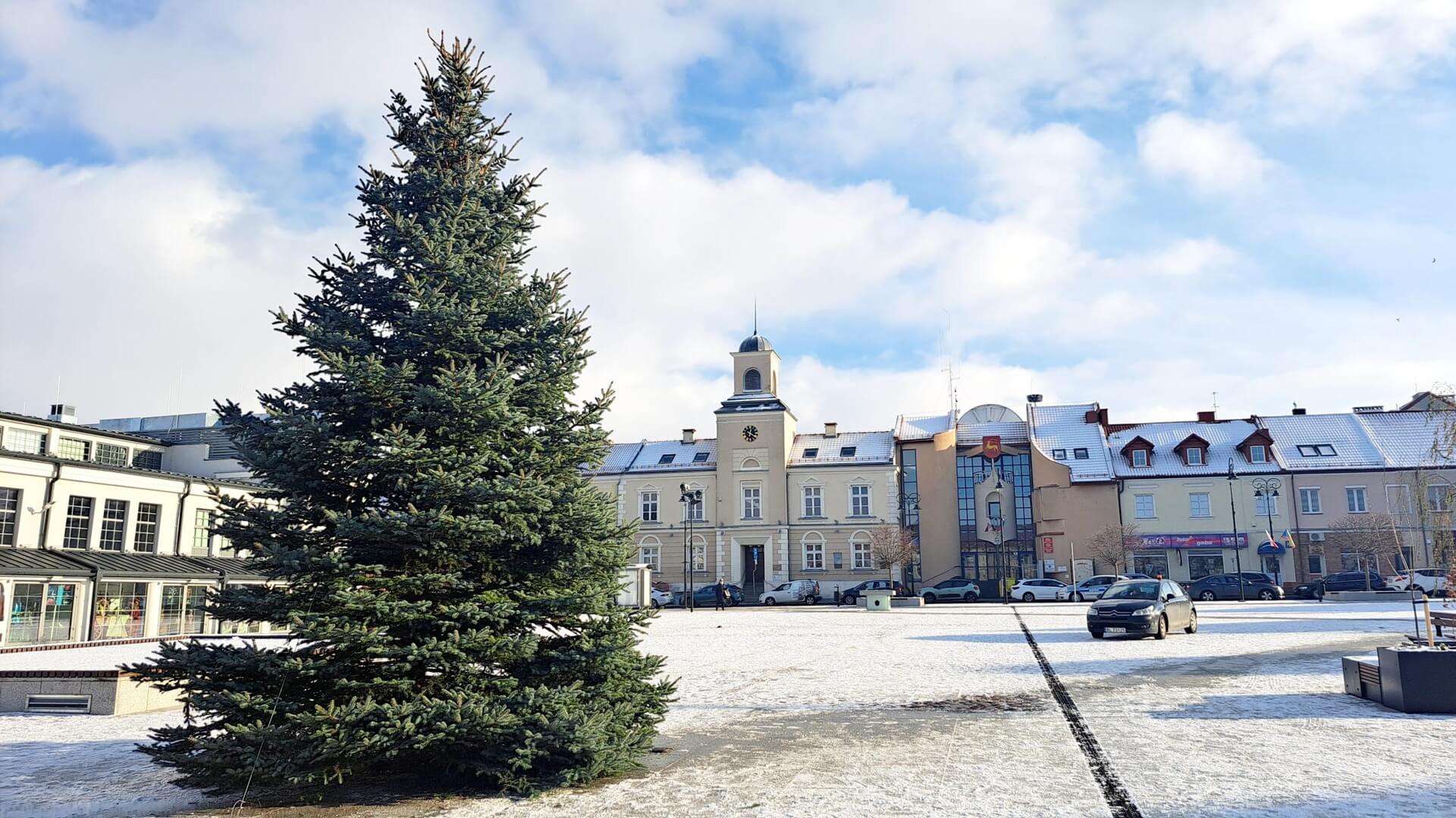 Na rynku w Łomży jest już świąteczna choinka
