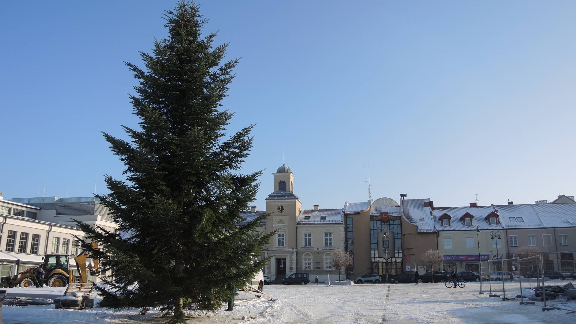 W Łomży stanęła miejska choinka