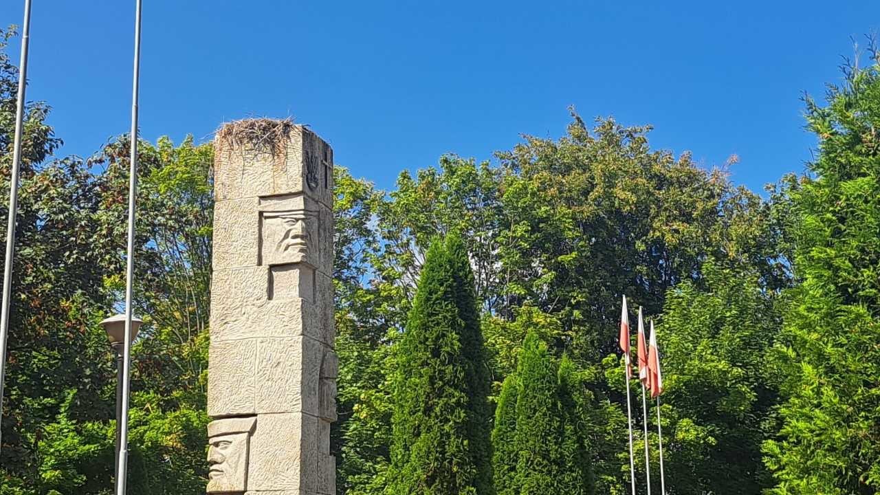 W  Łomżyńskim Parku Krajobrazowym Doliny Narwi bocianów coraz więcej