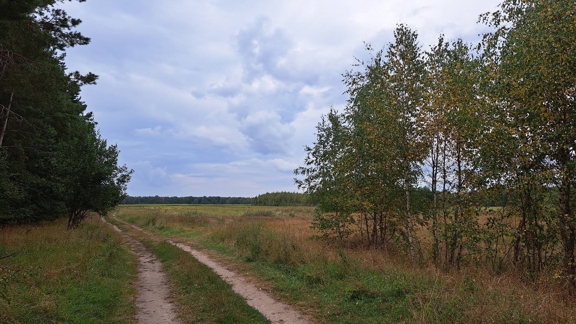 W otulinie Narwiańskiego Parku Narodowego ma powstać pole golfowe - sprzeciwiają się temu mieszkańcy wsi Topilec