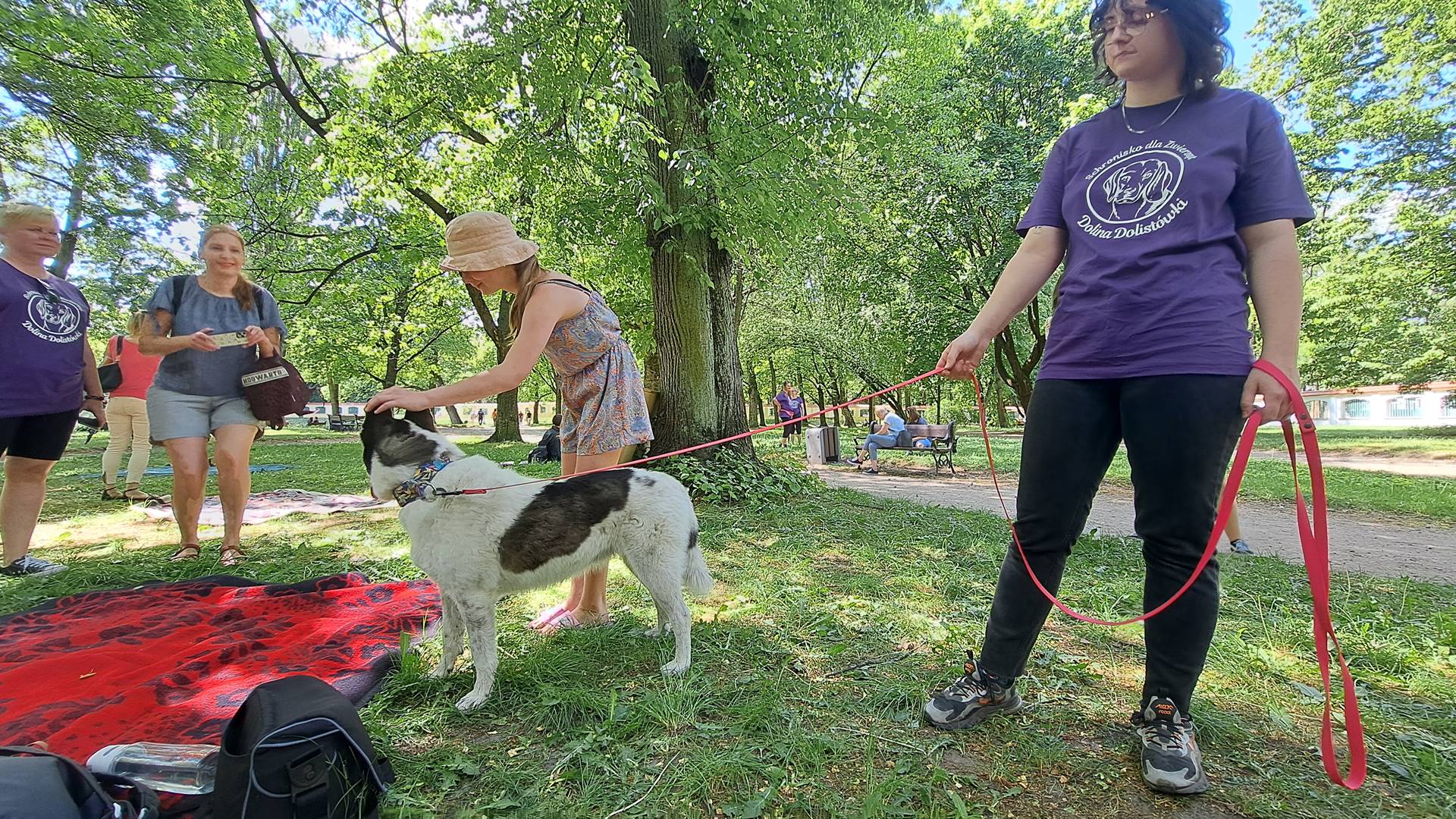 W ogrodach Pałacu Branickich można było adoptować psa - odbył się tam piknik schroniska Dolina Dolistówki