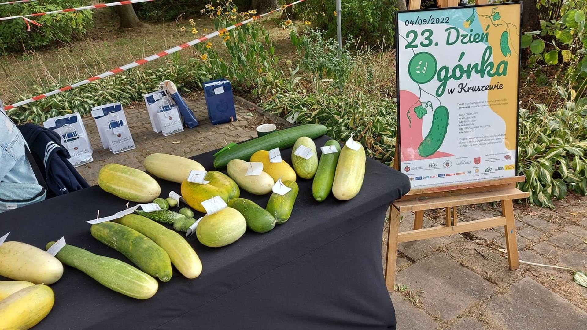 Ogólnopolski Dzień Ogórka w Kruszewie