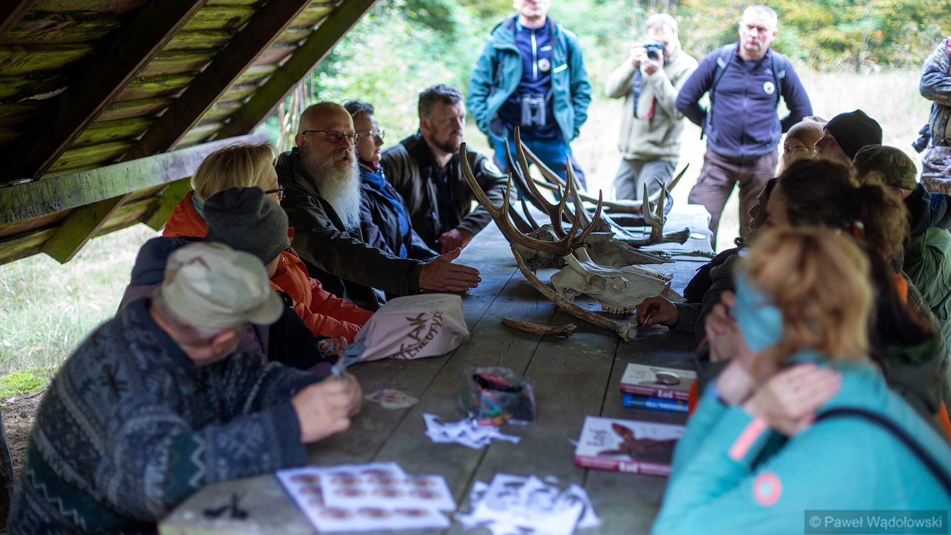 Dzień Łosia w Biebrzańskim Parku Narodowym