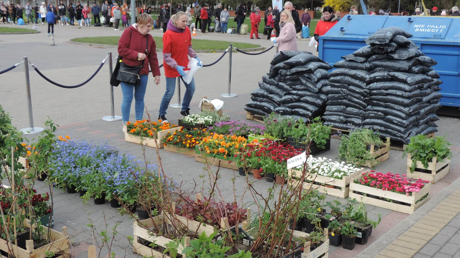 Surowce wtórne można zamienić na sadzonkę - kolejna edycja akcji "Ekologia za sadzonkę"