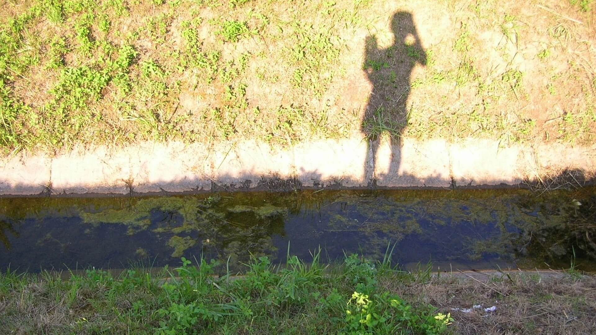 Dziecko bez opieki na ulicy. Przedszkole nie wiedziało, że 5-latek zniknął