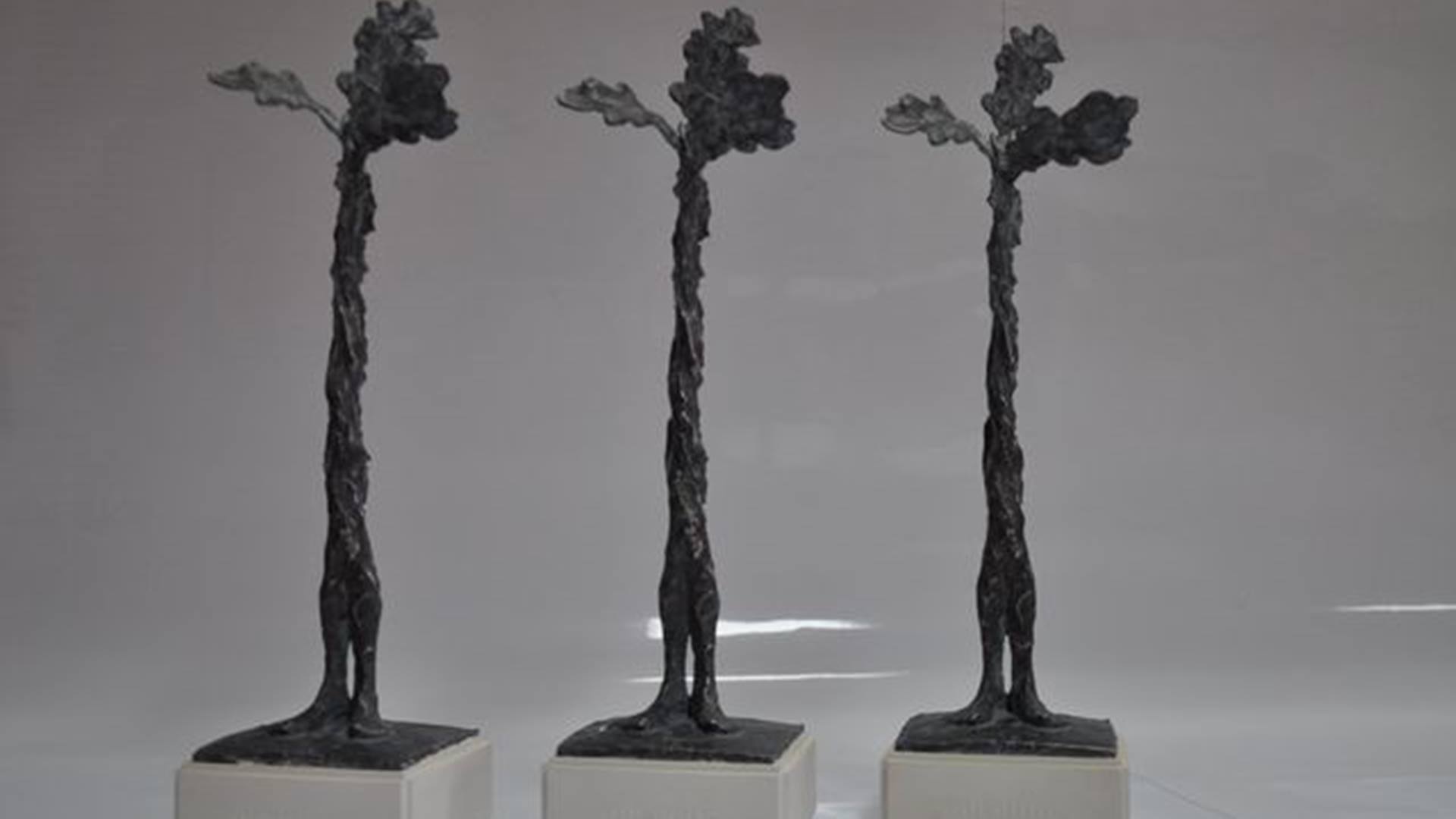 Burmistrz Hajnówki wręczył trzem osobom nagrody - Quercusy