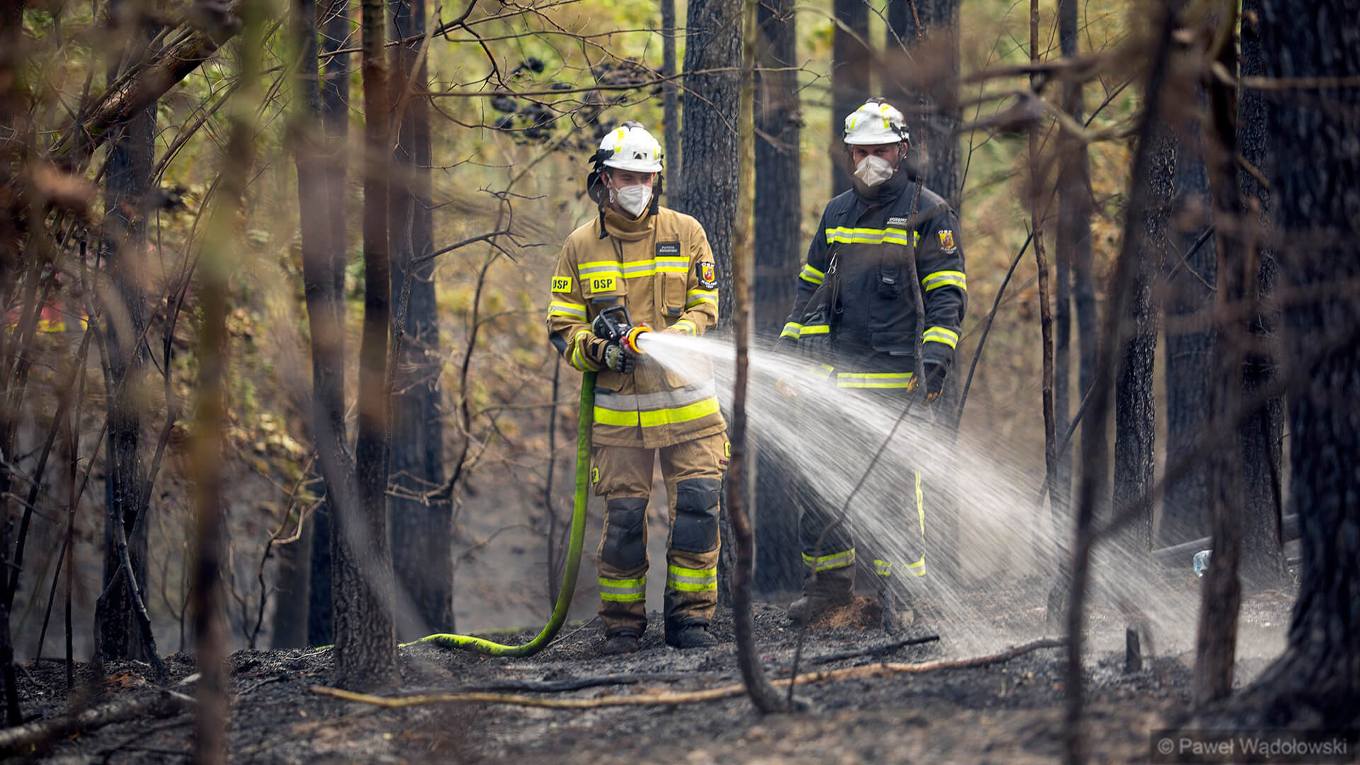 Dwa duże pożary lasów w Podlaskiem [zdjęcia, wideo]