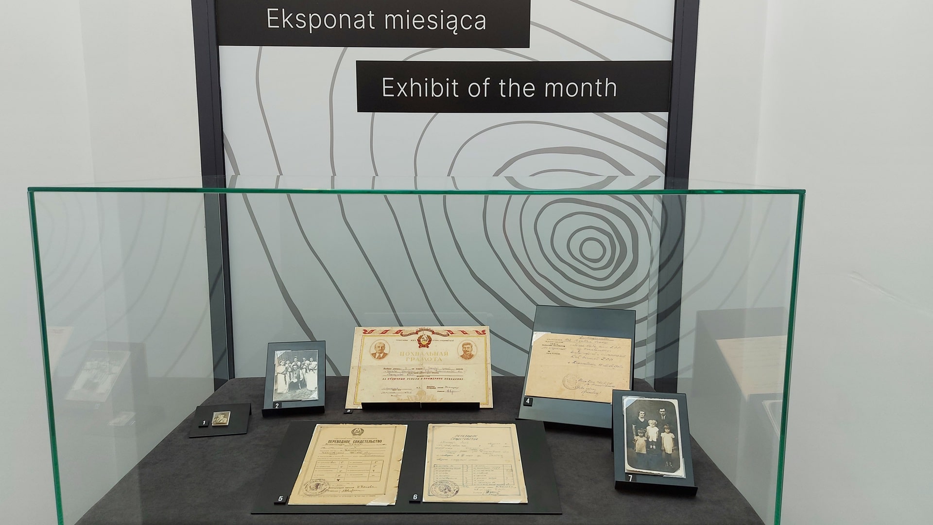 Nowe eksponaty miesiąca w białostockich muzeach