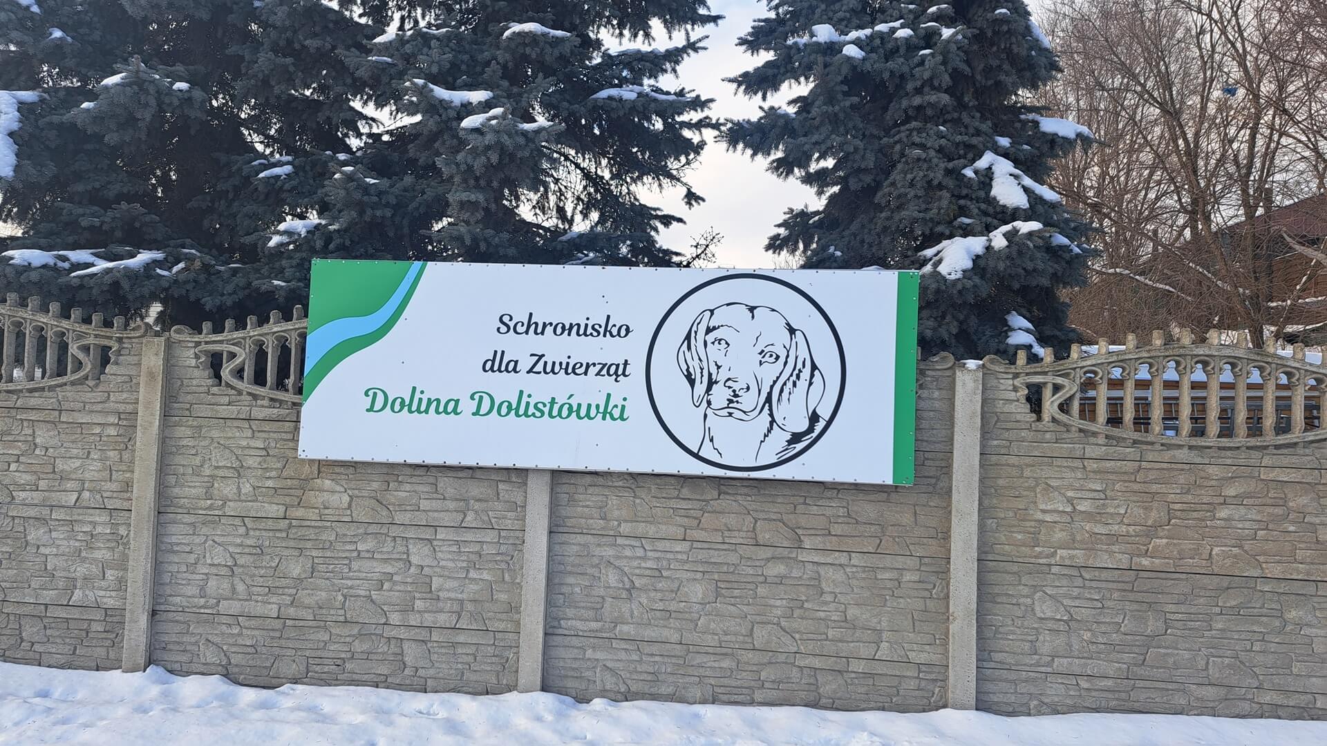 W "Dolinie Dolistówki" pojawiły się koty - schronisko poszerza swoją działalność