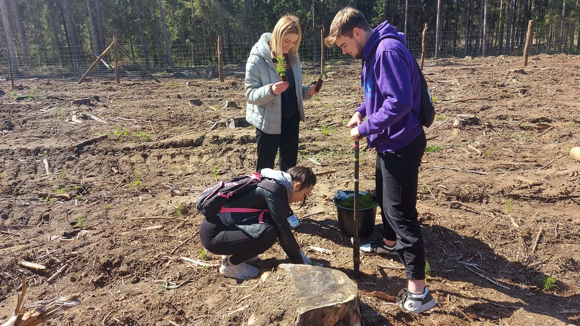 Uczniowie z ZDZ w Suwałkach posadzili ponad trzy tysiące drzewek
