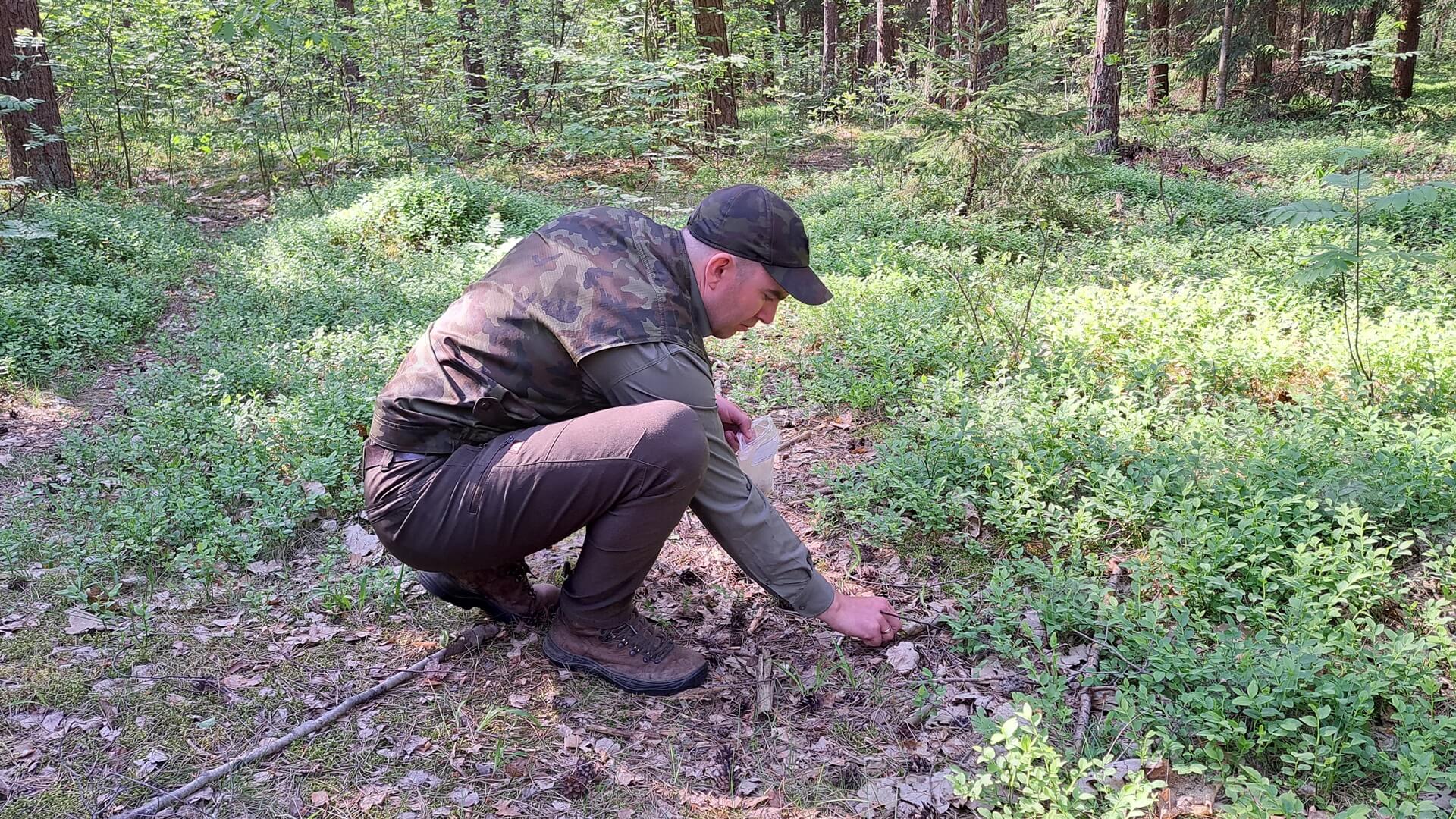 Sucho w podlaskich lasach - apel o ostrożność