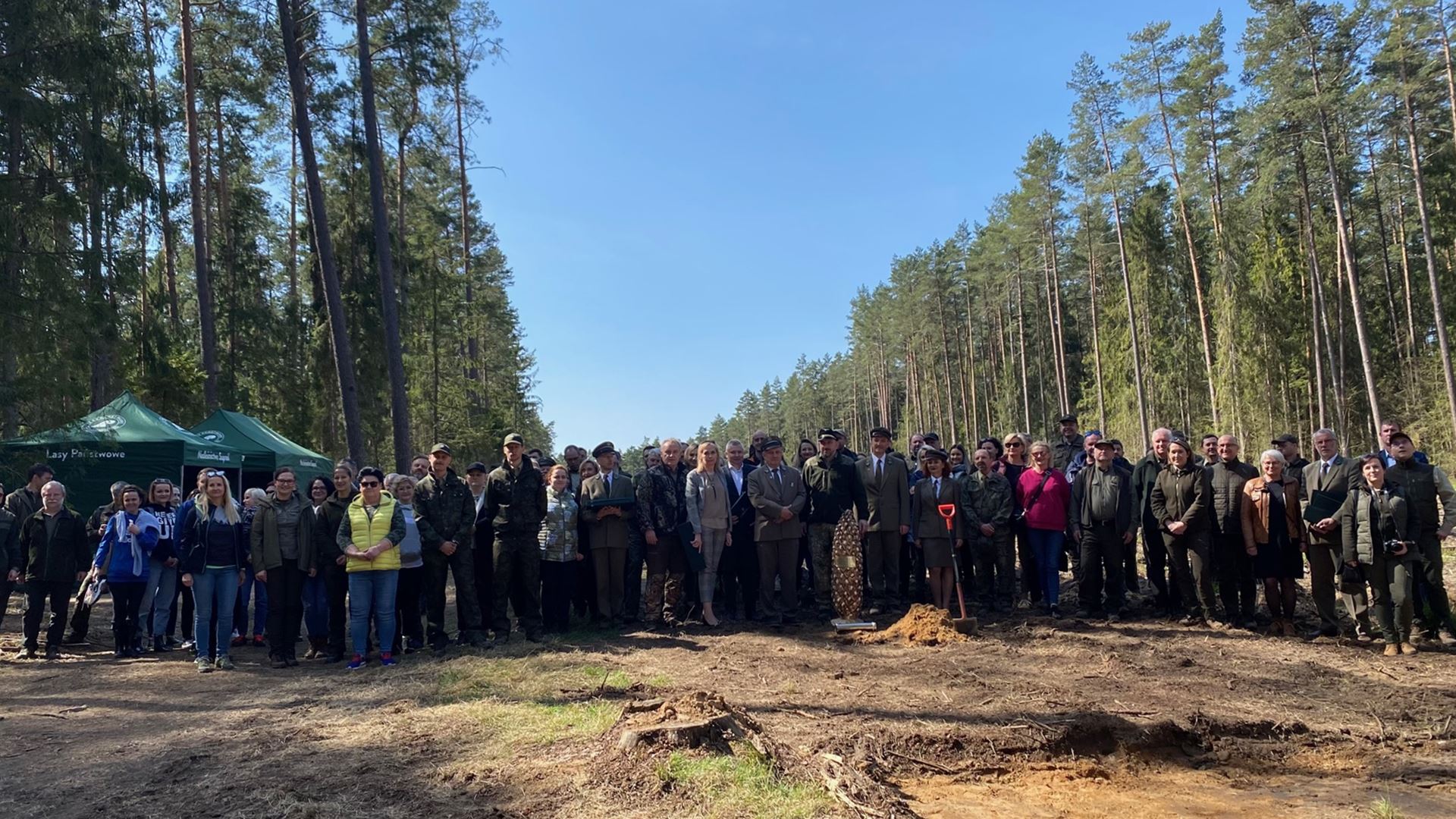 Rozpoczęła się ogólnopolska akcja "Łączą nas drzewa" - w okolicach Supraśla posadzono brzozy, świerki i sosny