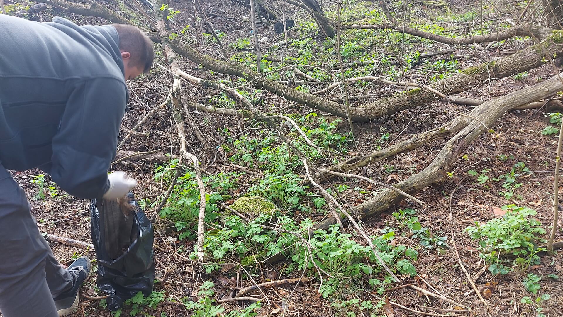 Akcja "Sprzątamy dla Polski" w Lesie Bacieczkowskim