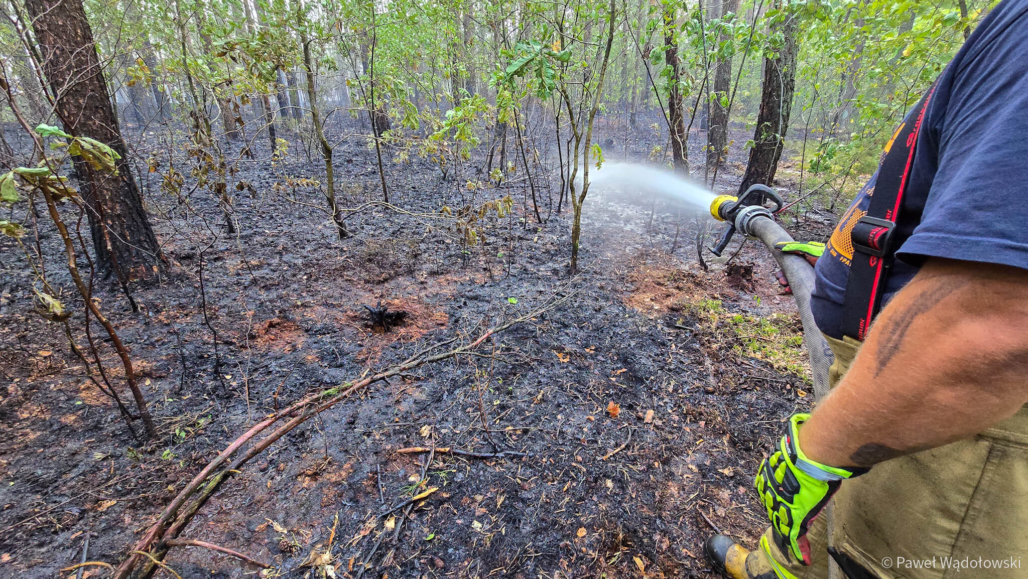 Dwa duże pożary lasów i ponad 130 interwencji strażackich