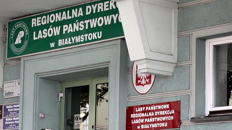 Mikołaj Dorożała: Lasy Państwowe będą wnosić opłatę na rzecz parków narodowych i regionalnych dyrekcji ochrony środowiska