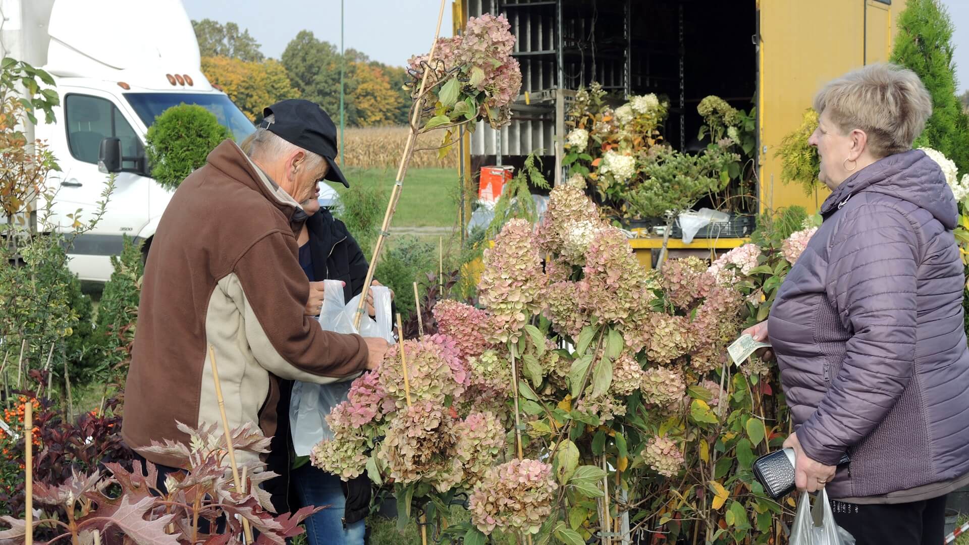 "Jesień w sadzie i ogrodzie" - drugi dzień targów ogrodniczych w Szepietowie [zdjęcia]