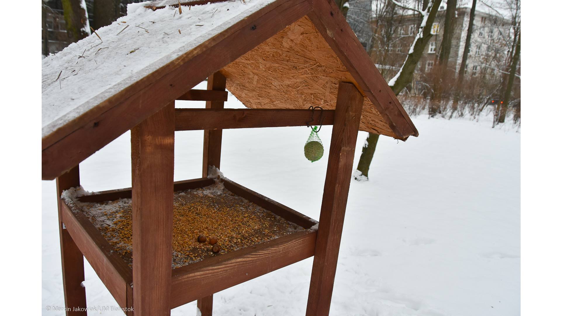 W Białymstoku w kilkudziesięciu miejscach stanęły karmniki, do których każdy może wrzucić ziarno dla ptaków
