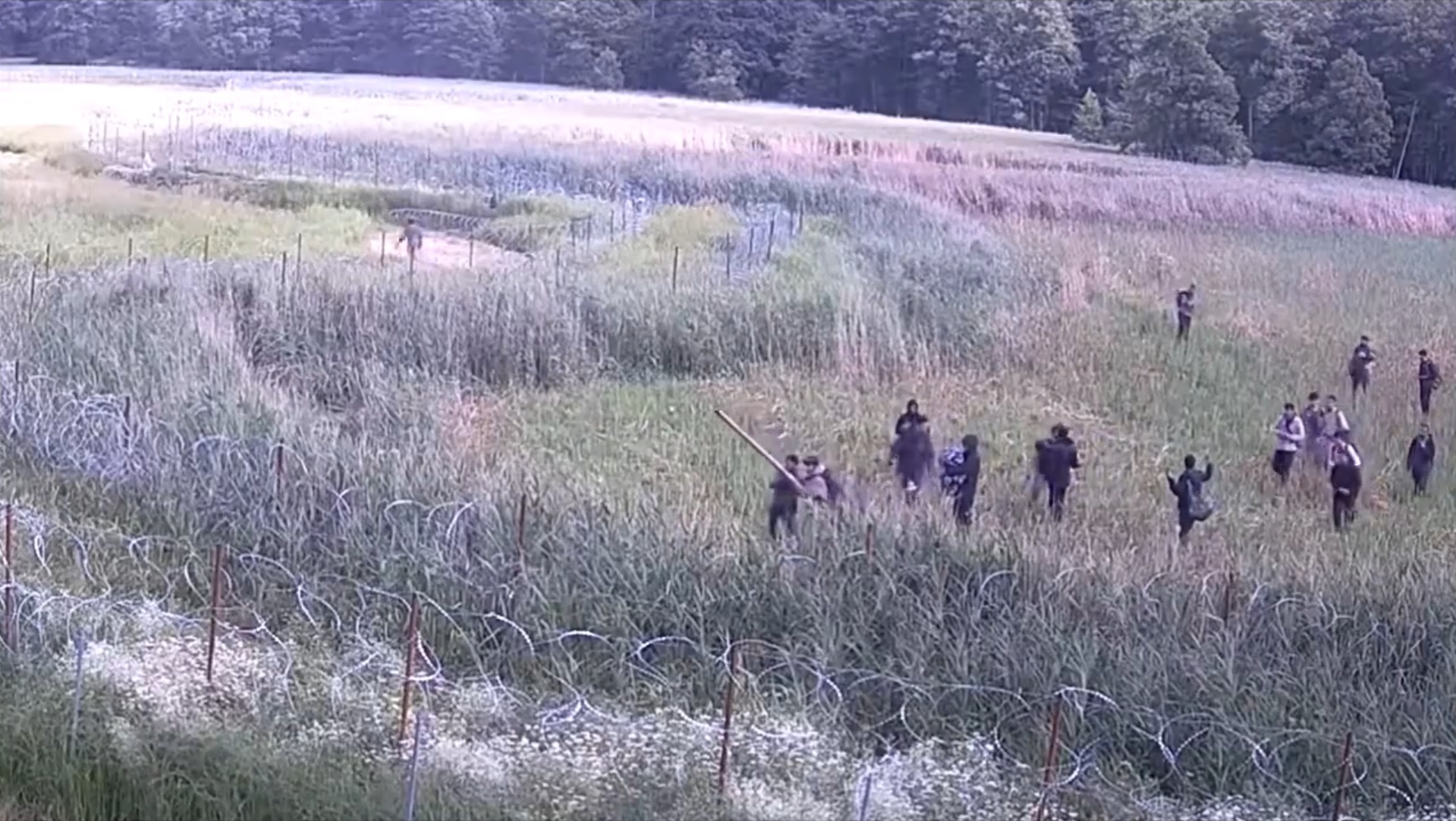 Grupa migrantów próbowała przekroczyć graniczną rzekę w okolicy Białowieży