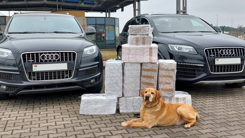 Przemyt białoruskich papierosów - kontrabandę wartą prawie 65 tys. zł pomógł znaleźć wyszkolony pies