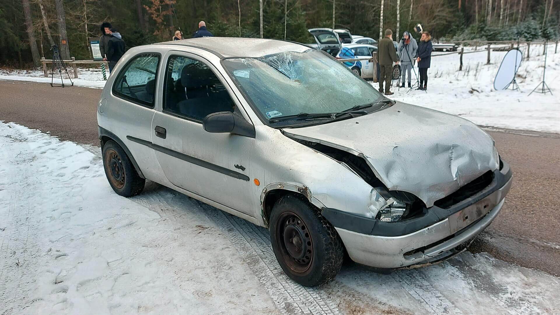 Akcja #Bezpiecznieprzezlas -  ma zwrócić uwagę kierowców na wypadki ze zwierzętami