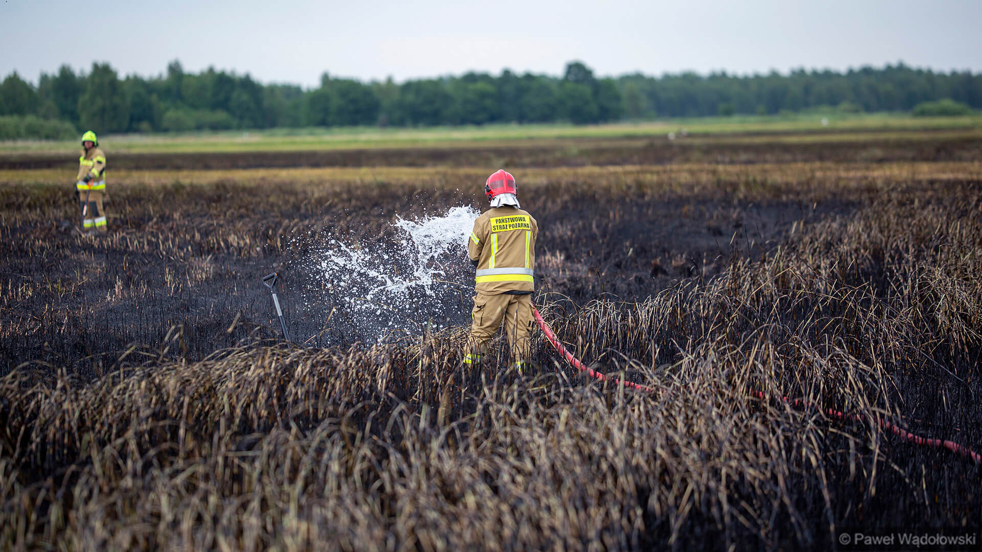 Strażacy zakończyli akcję gaszenia pożaru w Biebrzańskim Parku Narodowym