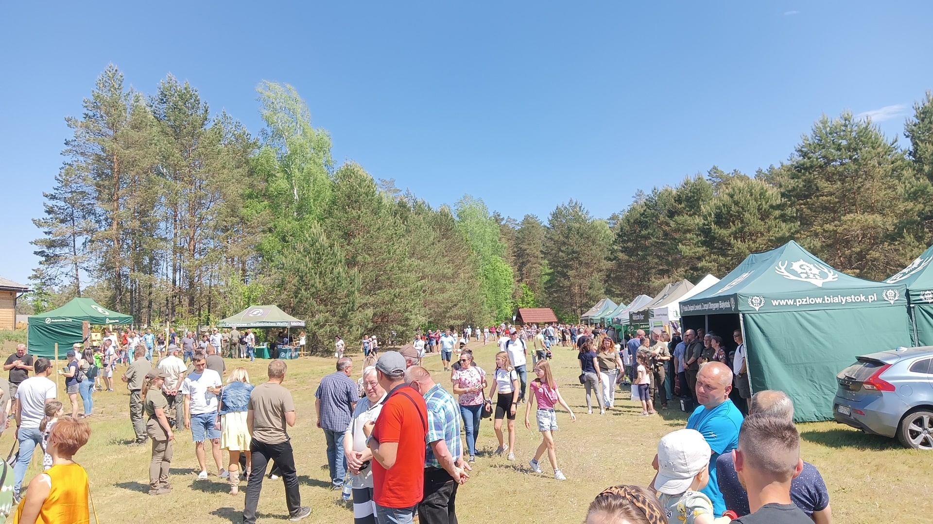 W Kopnej Górze Lasy Państwowe zorganizowały Piknik z żubrami