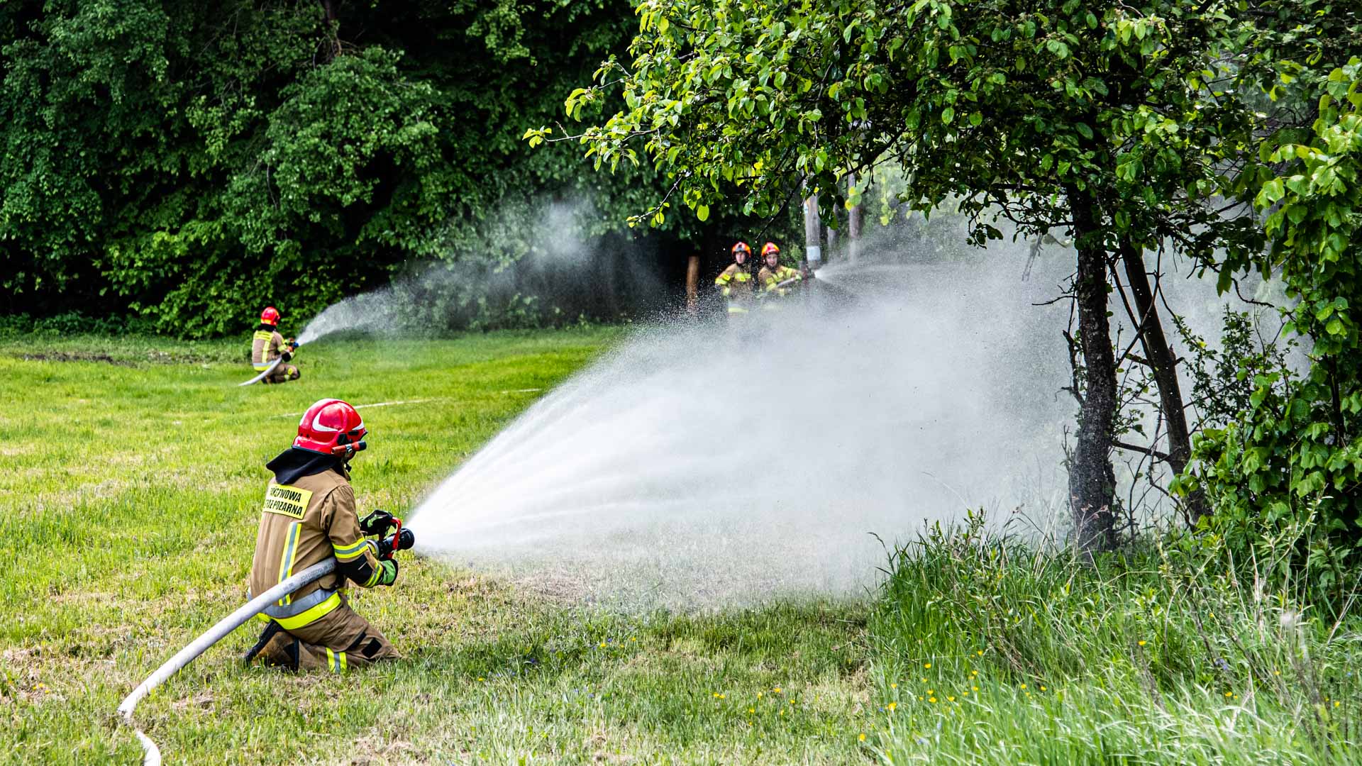 Jak zapobiegać pożarom w lesie, na polu i w domu - radzą strażacy