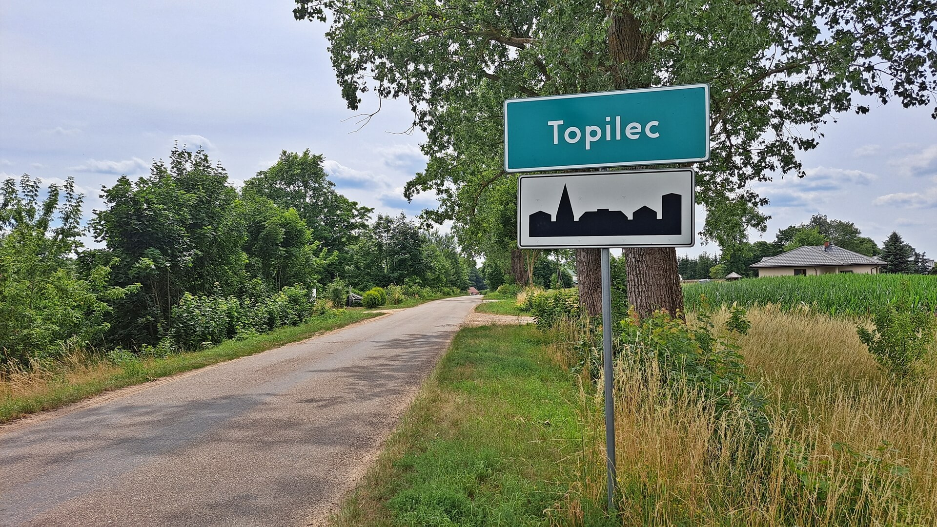 Duża ferma drobiu pod Białymstokiem musi być zlikwidowana z powodu zakaźnej choroby