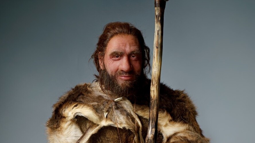 W Centrum Przyrodniczym UwB pojawił się nowy eksponat - to naturalnych rozmiarów neandertalczyk