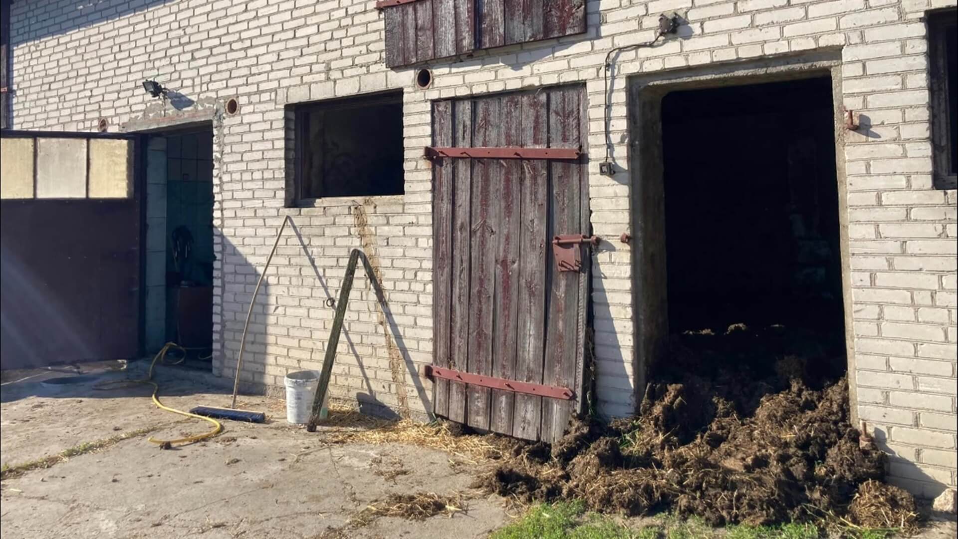 Rolnik z gminy Szumowo doprowadził do śmierci zwierząt - grozi mu do 5 lat więzienia