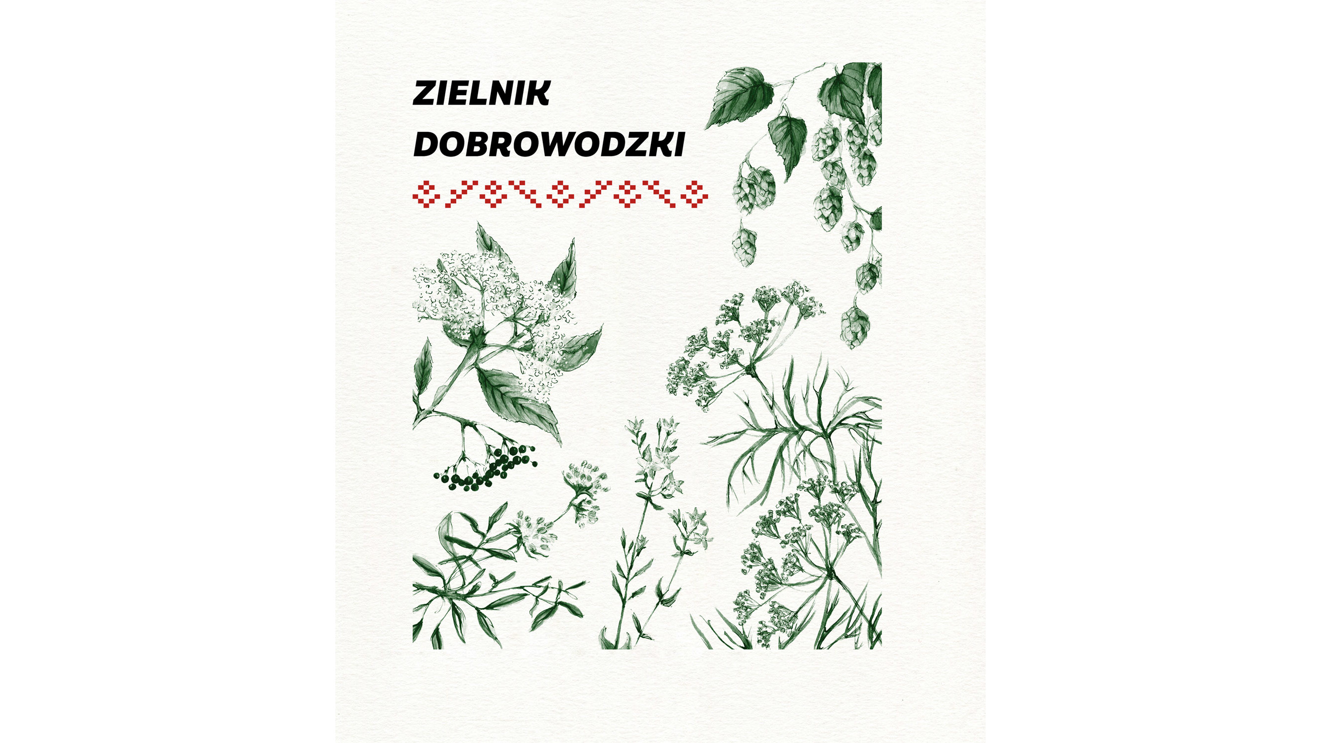 Niuchtyk, chwyszczka czy podorożnyk - ukazał się "Zielnik dobrowodzki"